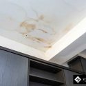 4 Signs Your Roof Is Suffering From Water Damage